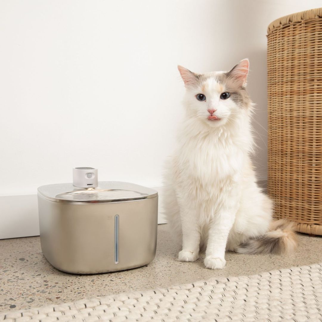 KlarTrink – Die leise Katzenbrunnen für gesundes Trinken