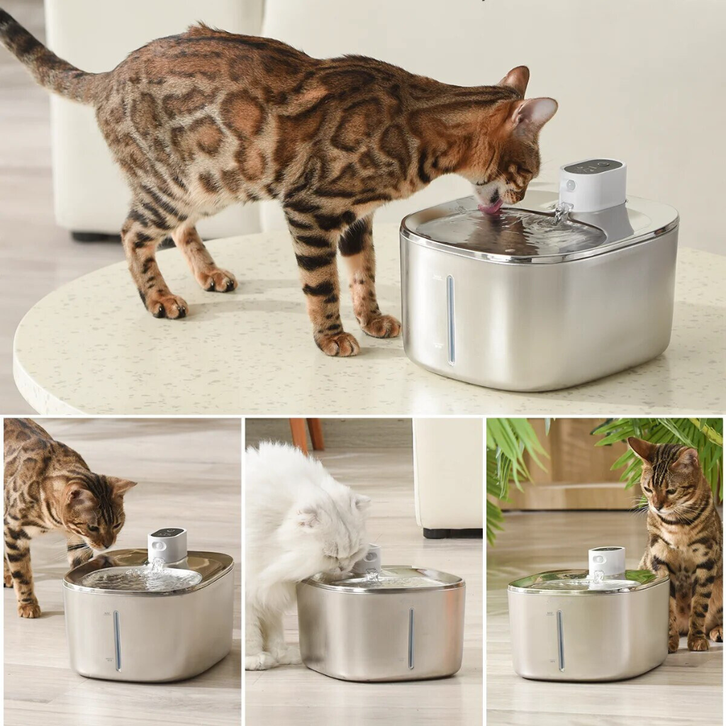 KlarTrink – Die leise Katzenbrunnen für gesundes Trinken