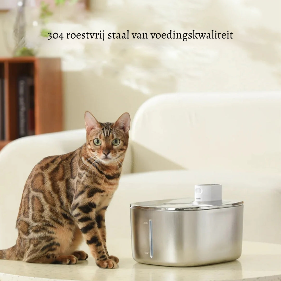 KlarTrink – Die leise Katzenbrunnen für gesundes Trinken